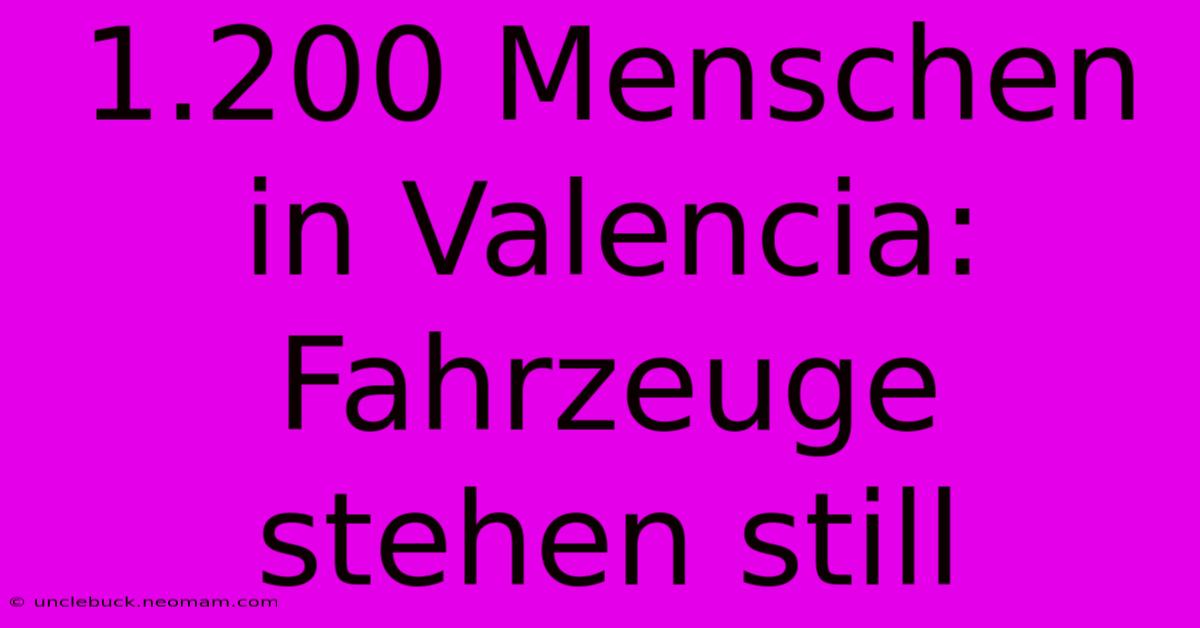 1.200 Menschen In Valencia:  Fahrzeuge  Stehen Still 