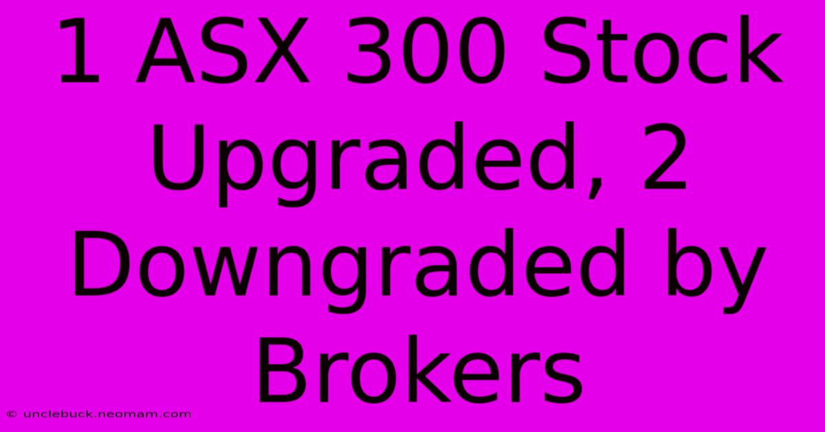 1 ASX 300 Stock Upgraded, 2 Downgraded By Brokers 