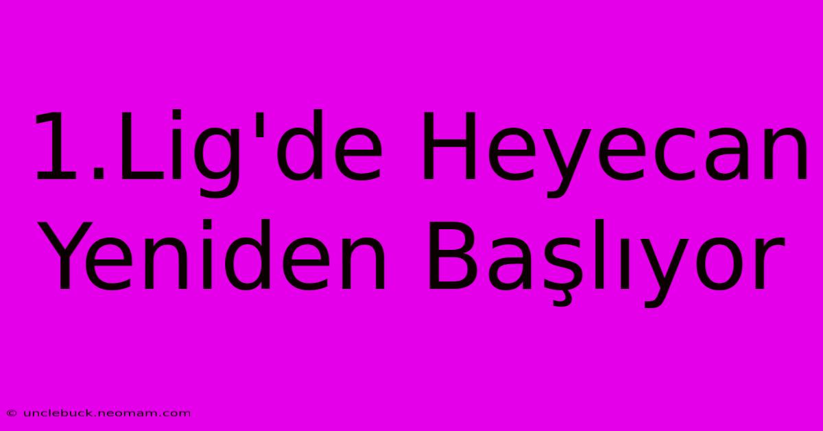 1.Lig'de Heyecan Yeniden Başlıyor