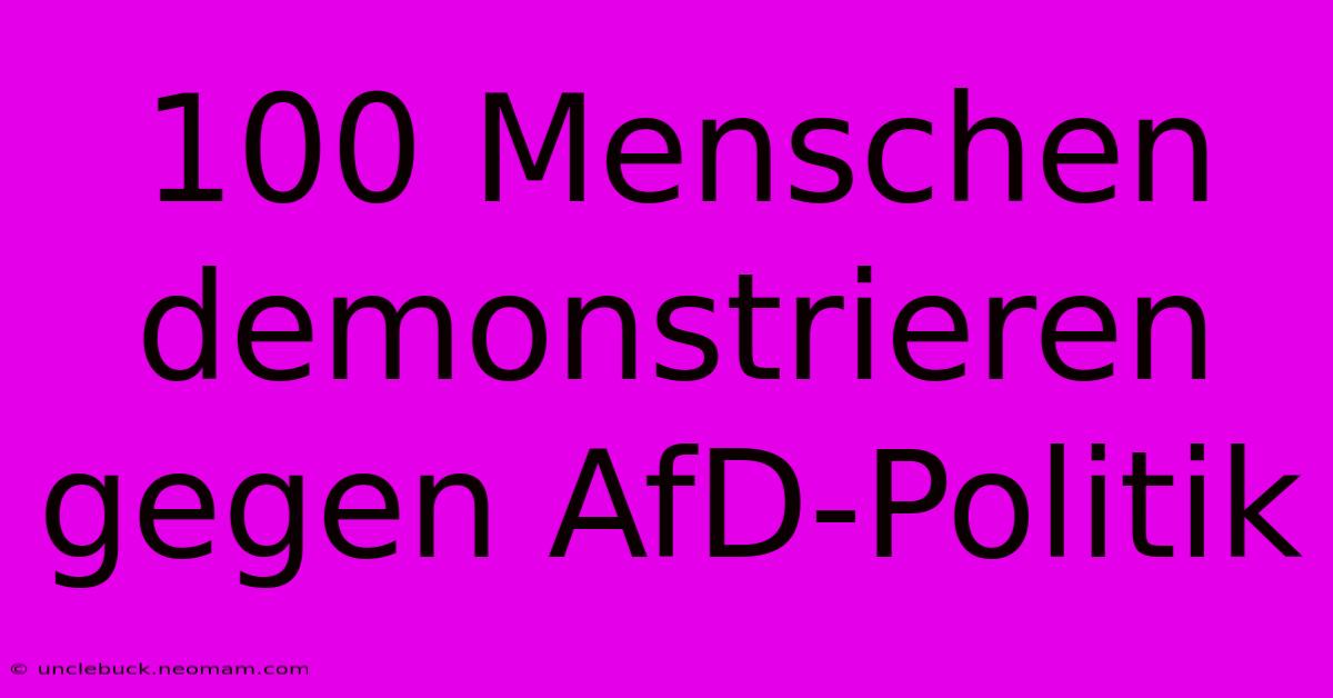 100 Menschen Demonstrieren Gegen AfD-Politik