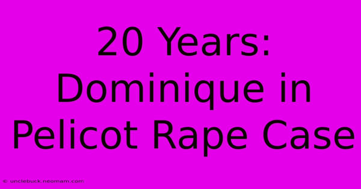 20 Years: Dominique In Pelicot Rape Case