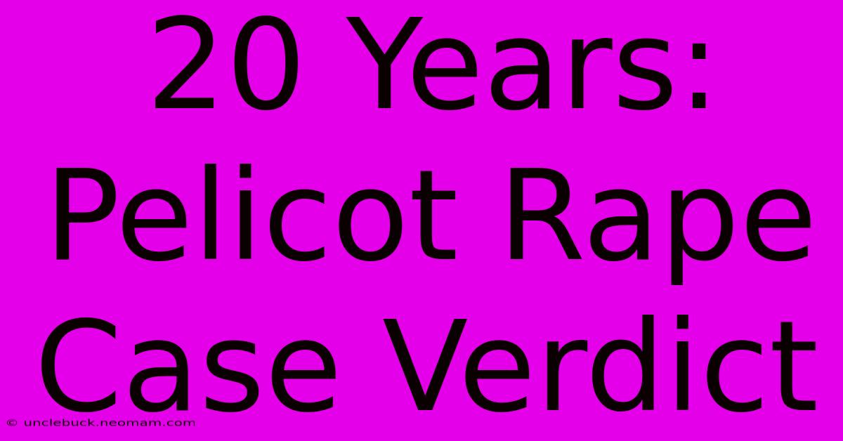 20 Years: Pelicot Rape Case Verdict