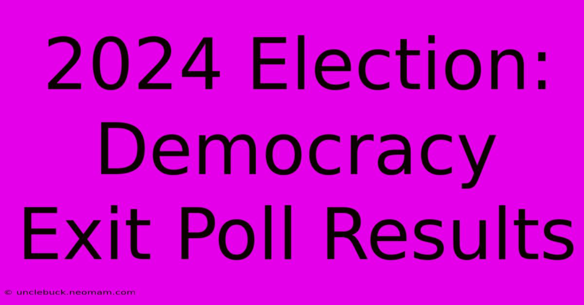 2024 Election: Democracy Exit Poll Results