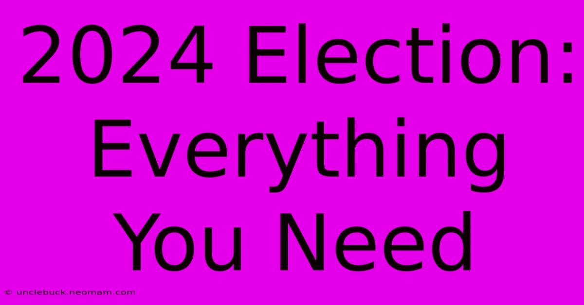 2024 Election: Everything You Need