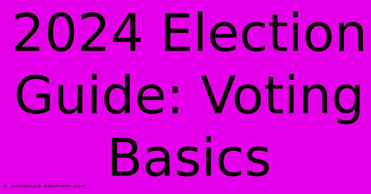 2024 Election Guide: Voting Basics