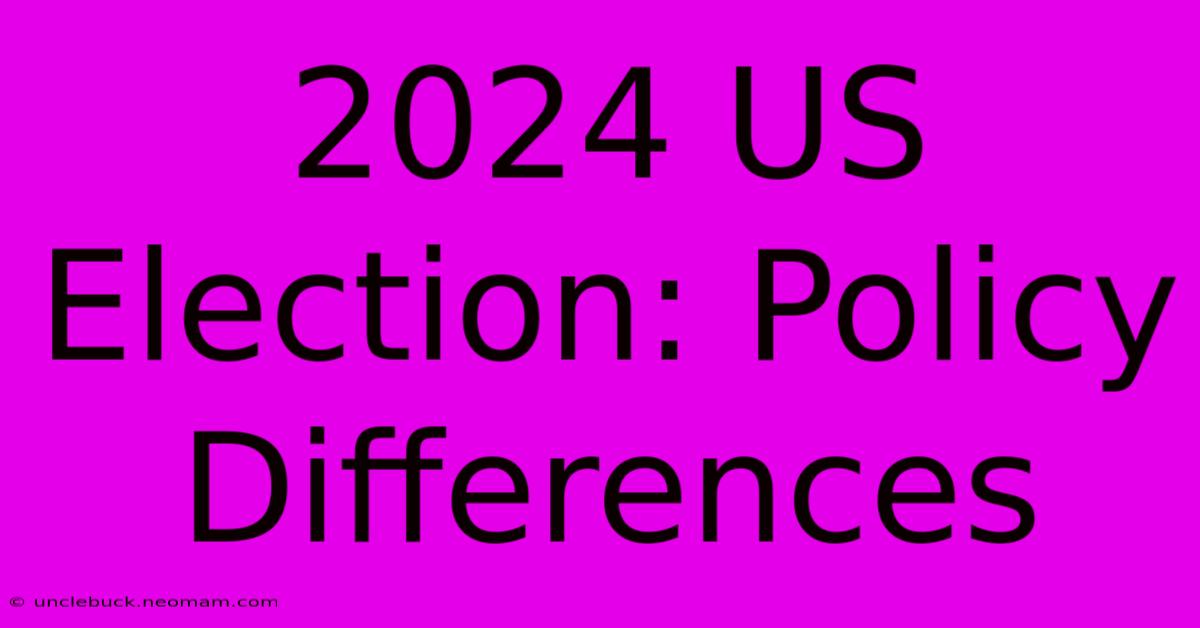 2024 US Election: Policy Differences 