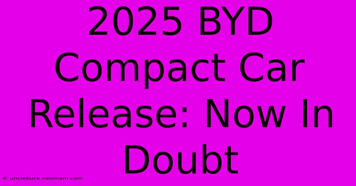 2025 BYD Compact Car Release: Now In Doubt 