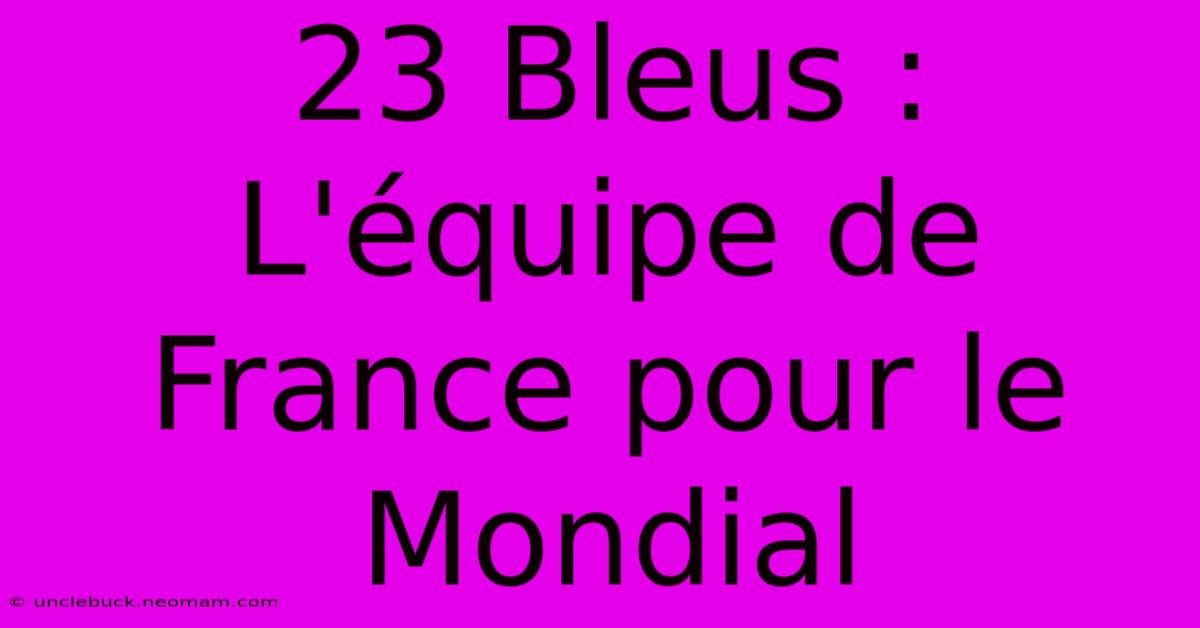 23 Bleus : L'équipe De France Pour Le Mondial 