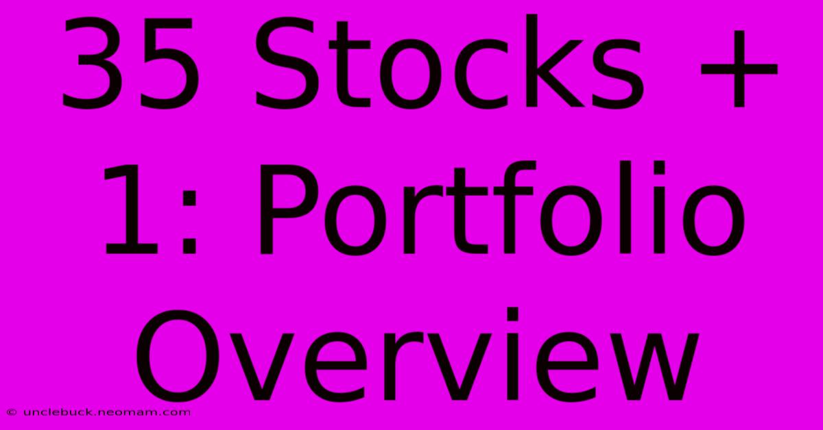 35 Stocks + 1: Portfolio Overview