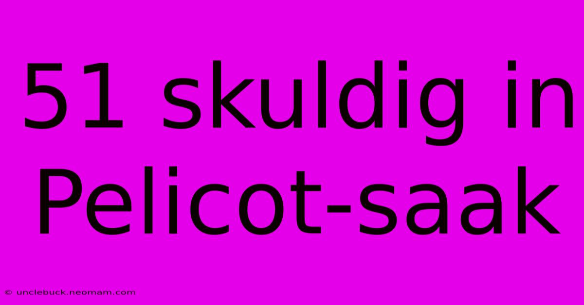 51 Skuldig In Pelicot-saak