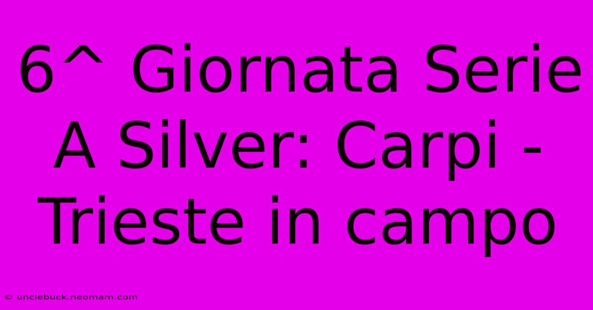 6^ Giornata Serie A Silver: Carpi - Trieste In Campo