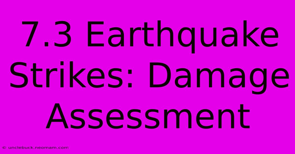 7.3 Earthquake Strikes: Damage Assessment