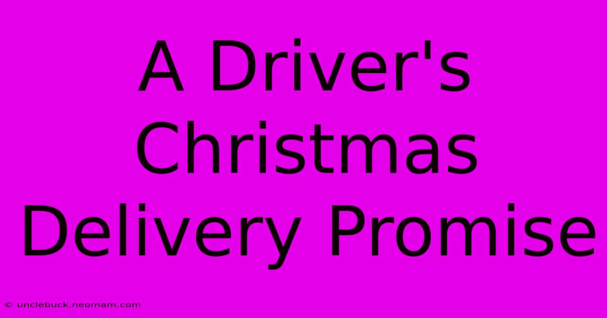 A Driver's Christmas Delivery Promise