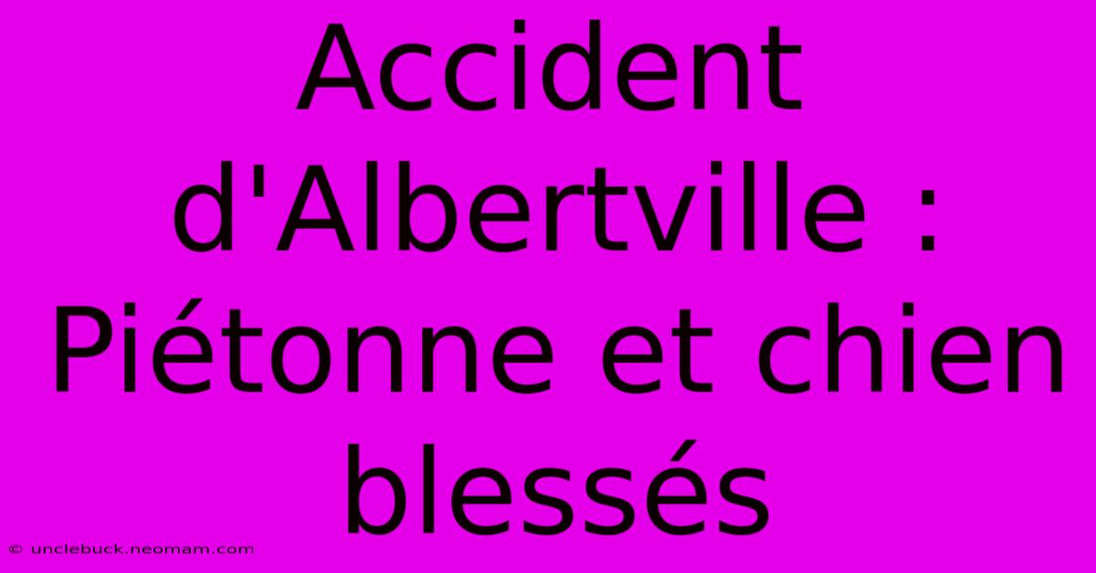 Accident D'Albertville : Piétonne Et Chien Blessés 