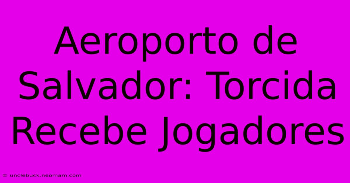 Aeroporto De Salvador: Torcida Recebe Jogadores 