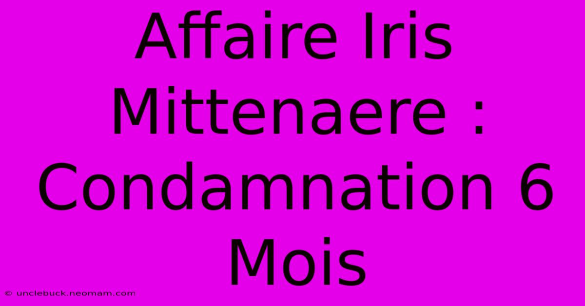 Affaire Iris Mittenaere : Condamnation 6 Mois 