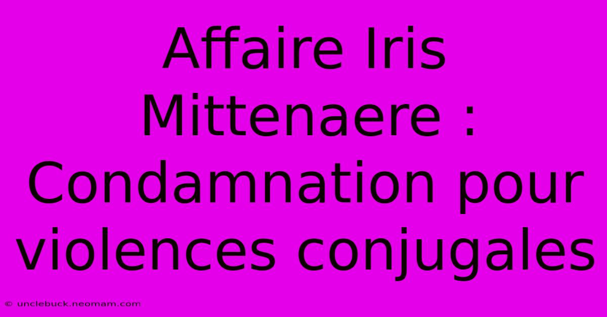 Affaire Iris Mittenaere : Condamnation Pour Violences Conjugales 