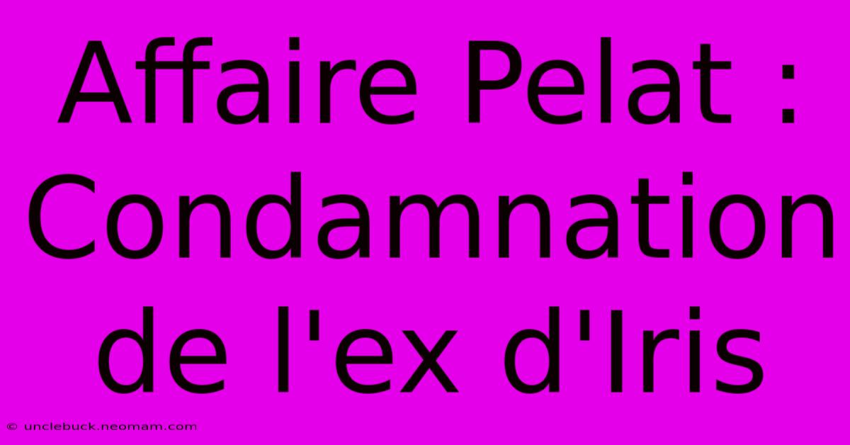 Affaire Pelat : Condamnation De L'ex D'Iris 