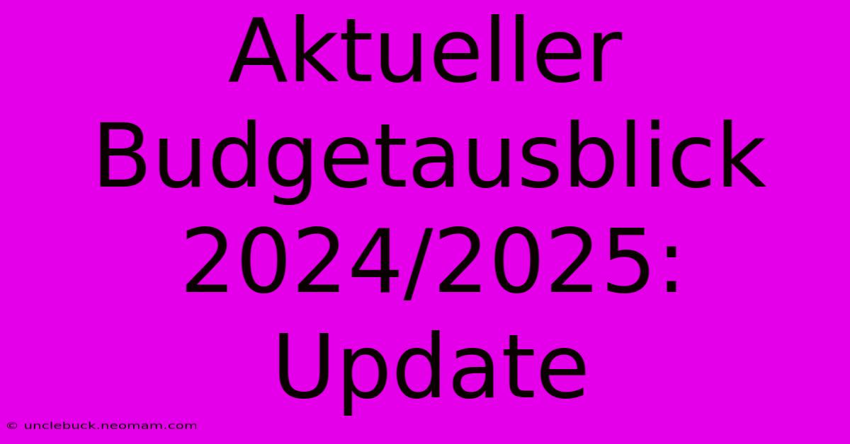 Aktueller Budgetausblick 2024/2025: Update