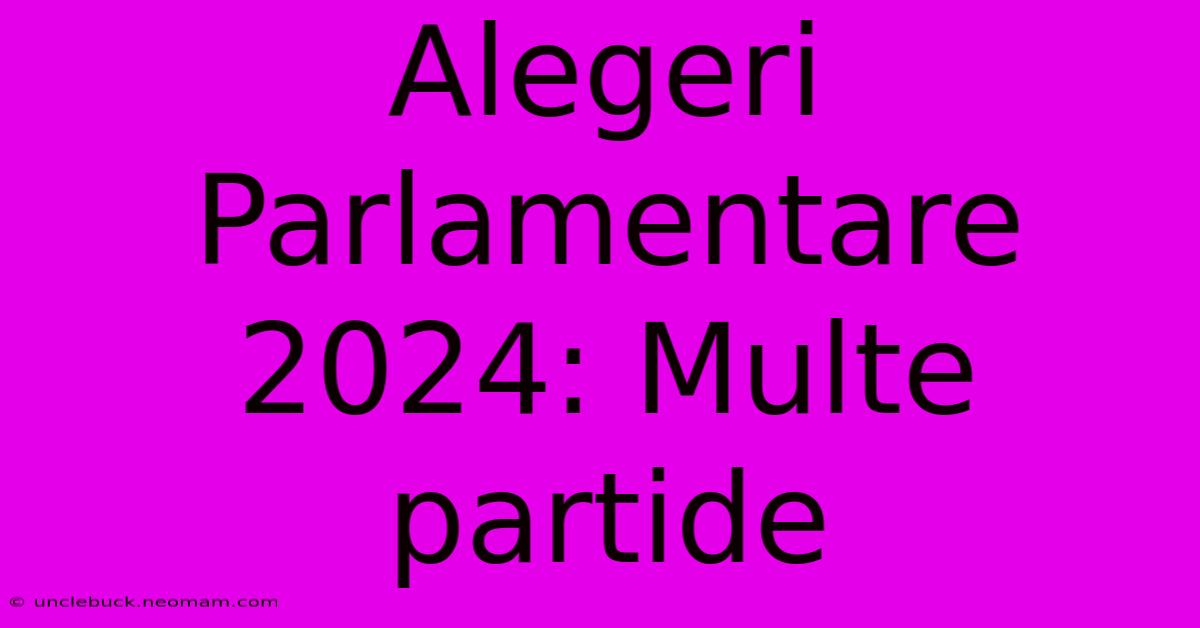 Alegeri Parlamentare 2024: Multe Partide