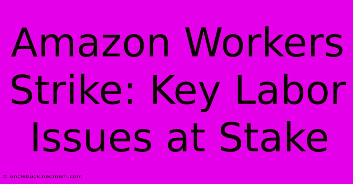 Amazon Workers Strike: Key Labor Issues At Stake