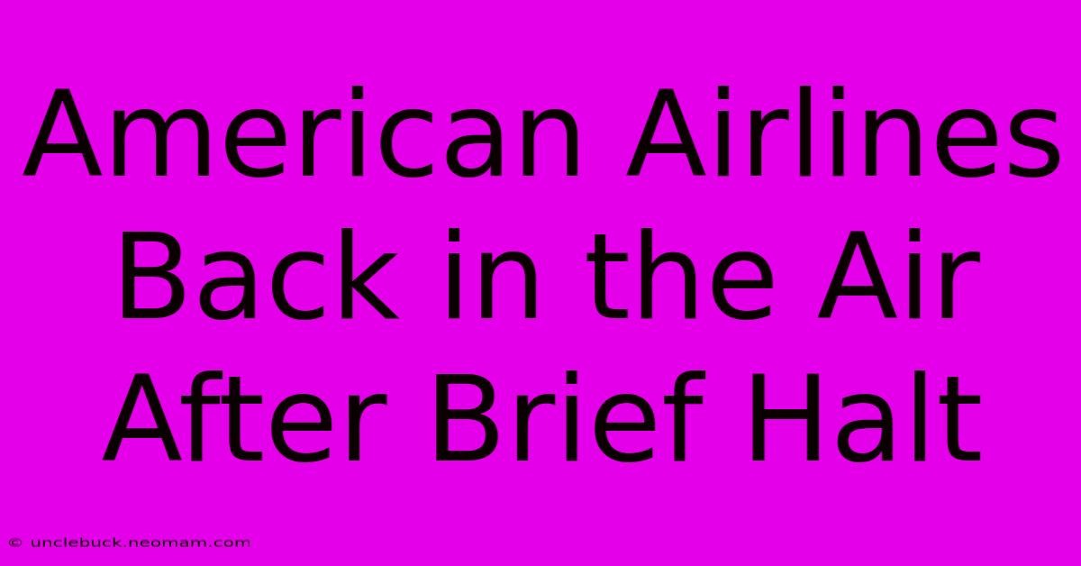 American Airlines Back In The Air After Brief Halt