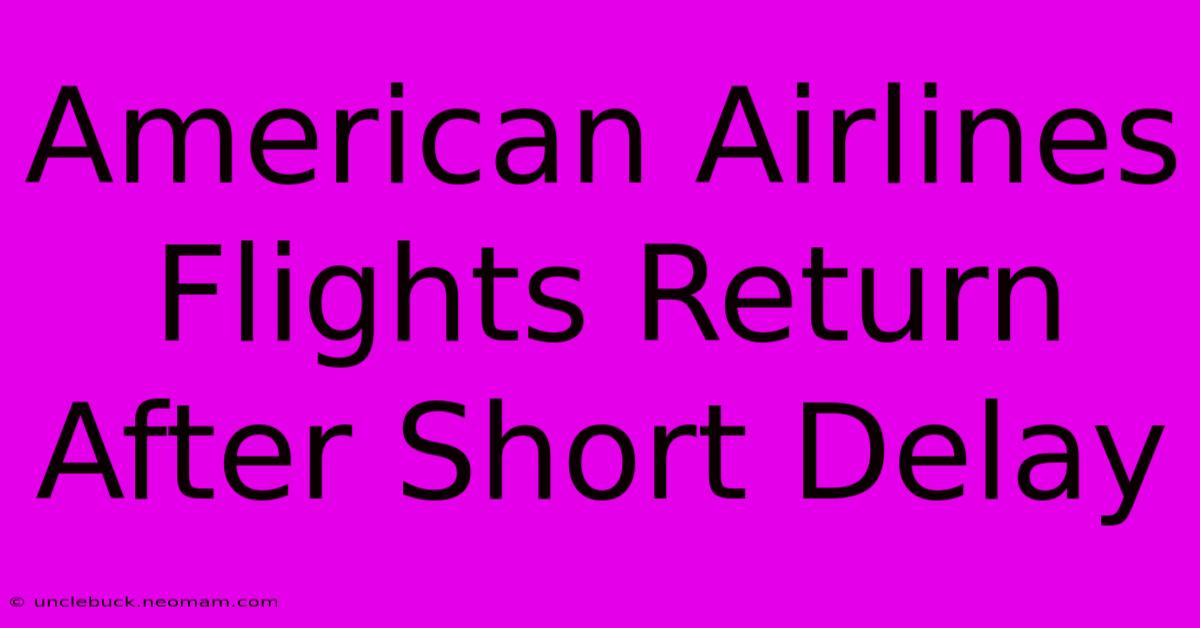 American Airlines Flights Return After Short Delay