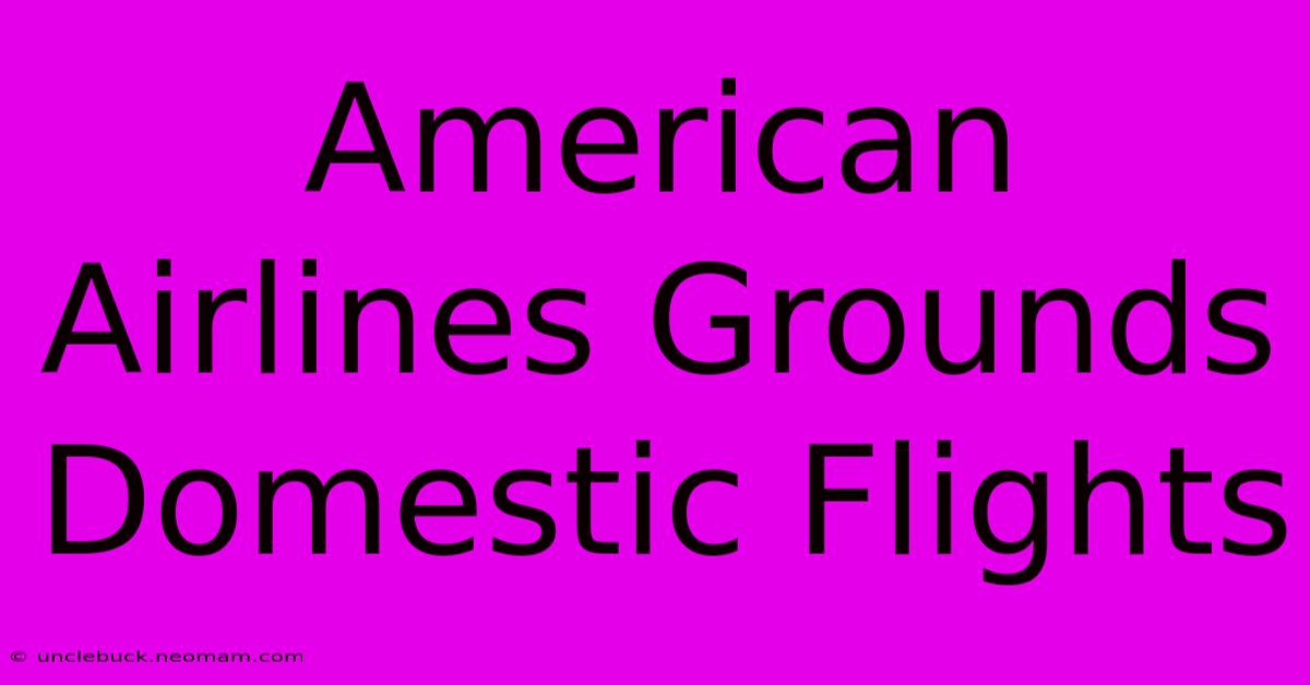 American Airlines Grounds Domestic Flights