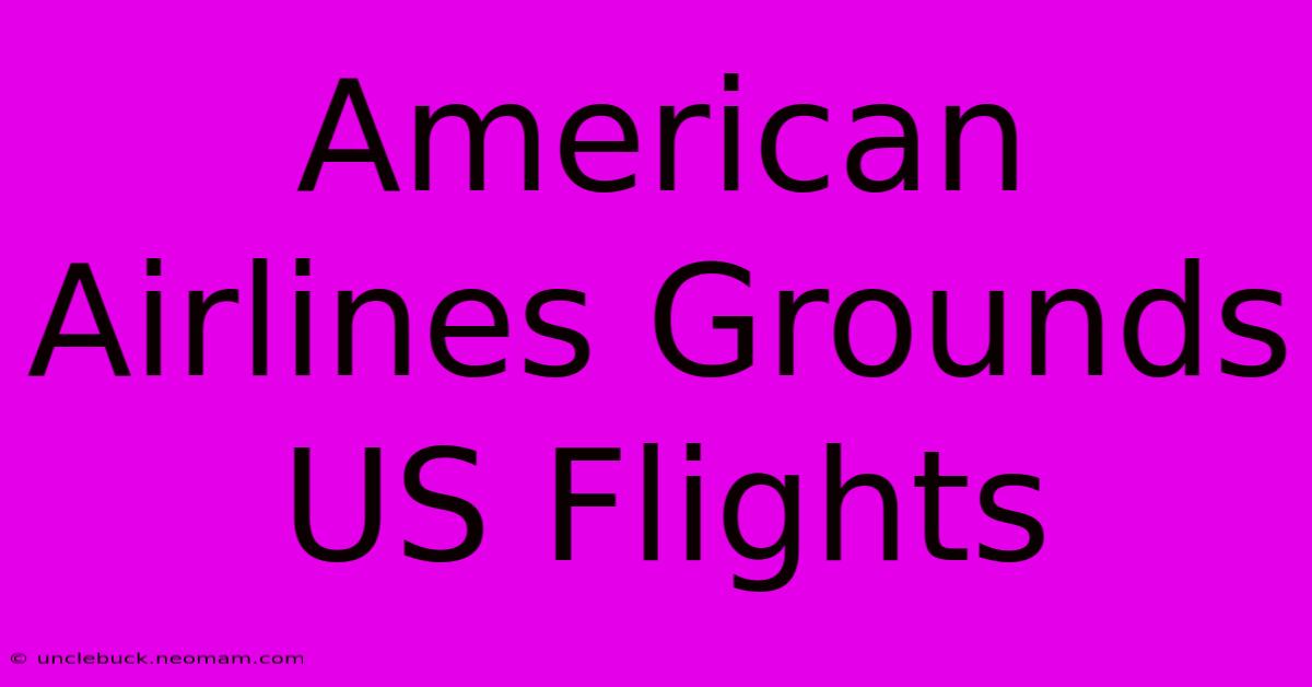 American Airlines Grounds US Flights