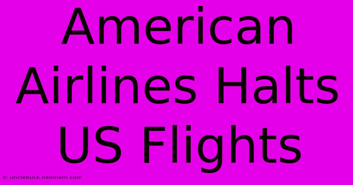 American Airlines Halts US Flights