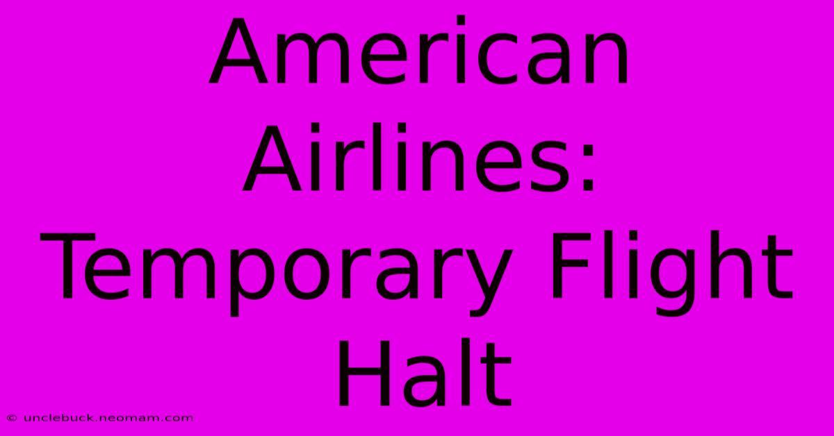 American Airlines: Temporary Flight Halt