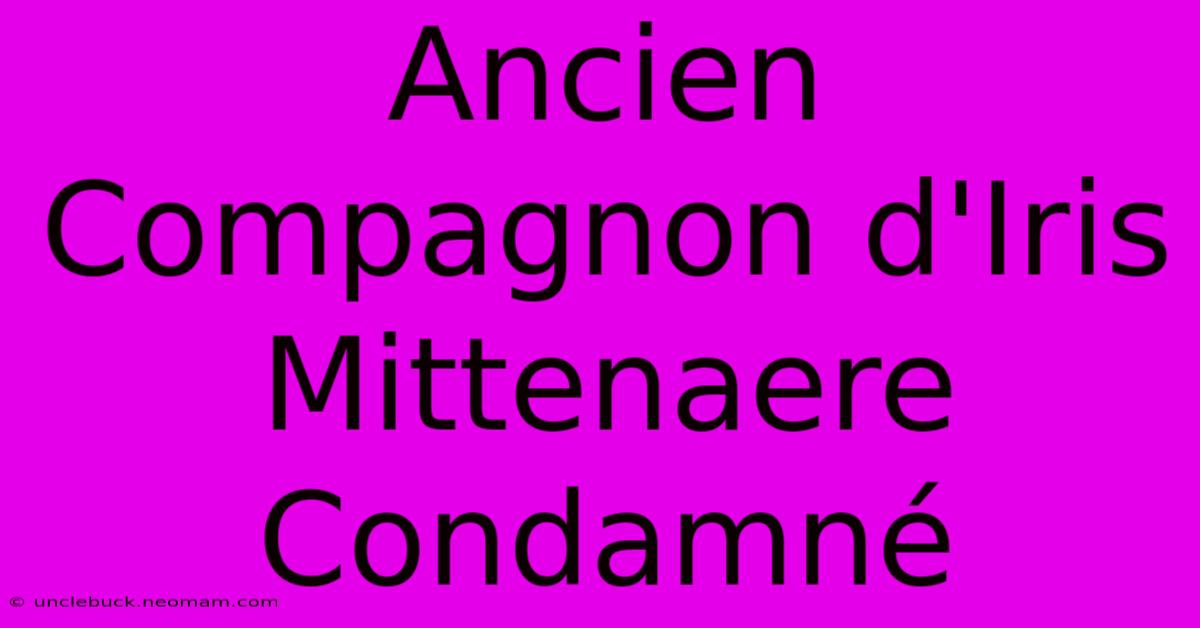 Ancien Compagnon D'Iris Mittenaere Condamné