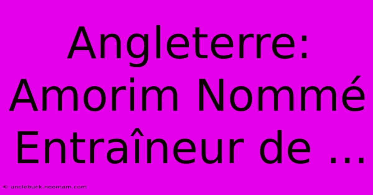 Angleterre: Amorim Nommé Entraîneur De ...