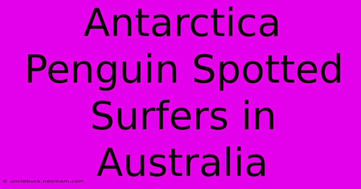 Antarctica Penguin Spotted Surfers In Australia