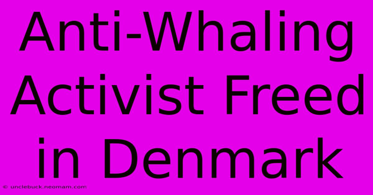 Anti-Whaling Activist Freed In Denmark