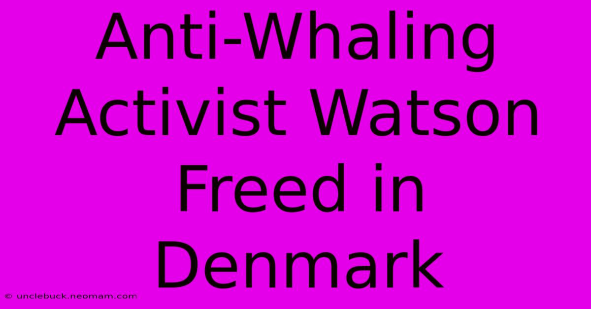 Anti-Whaling Activist Watson Freed In Denmark