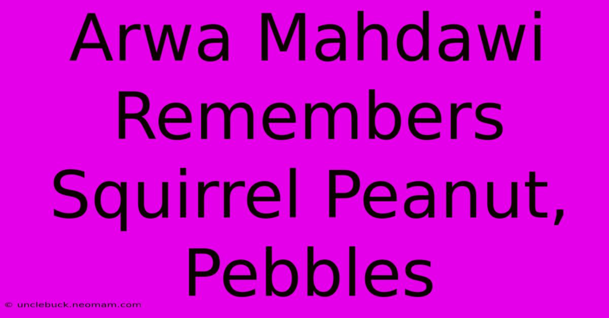 Arwa Mahdawi Remembers Squirrel Peanut, Pebbles 