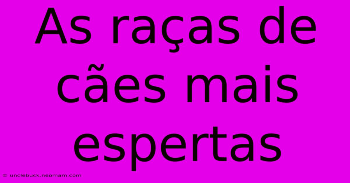 As Raças De Cães Mais Espertas