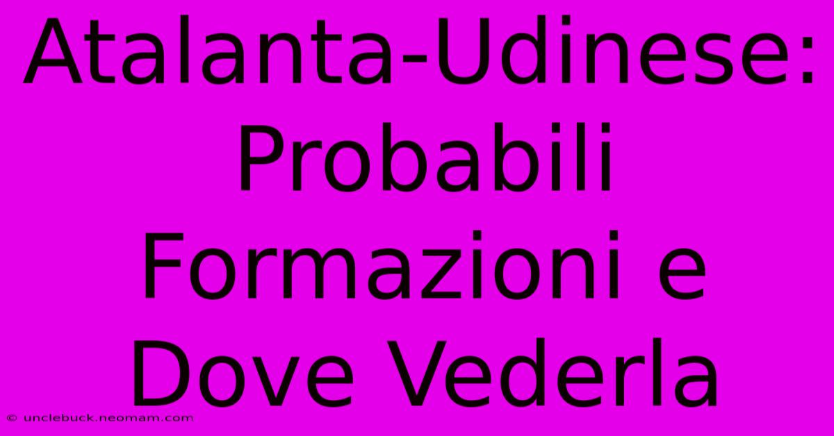 Atalanta-Udinese: Probabili Formazioni E Dove Vederla