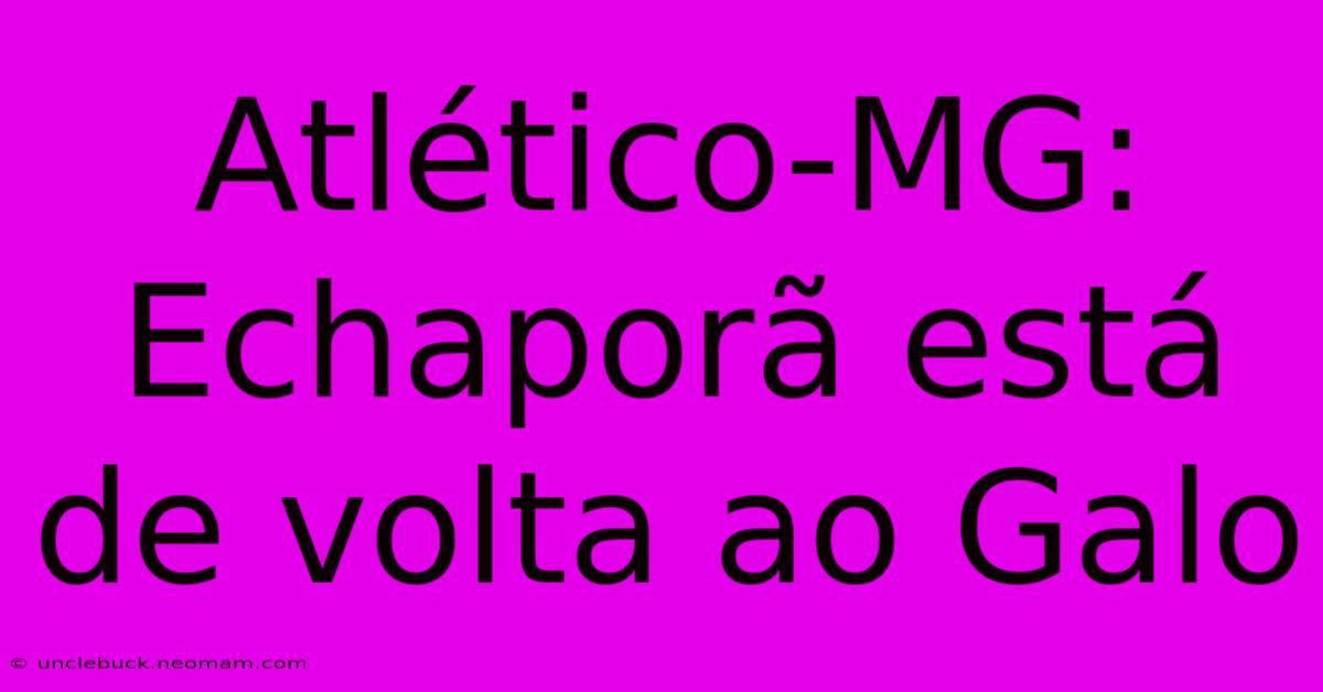 Atlético-MG: Echaporã Está De Volta Ao Galo