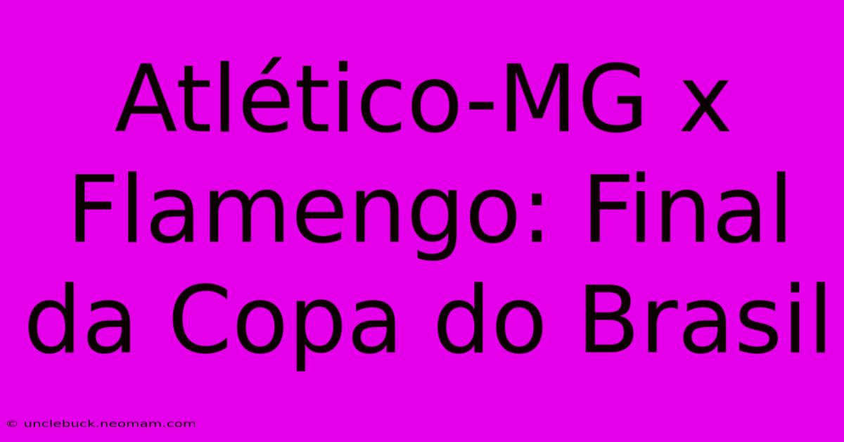 Atlético-MG X Flamengo: Final Da Copa Do Brasil 