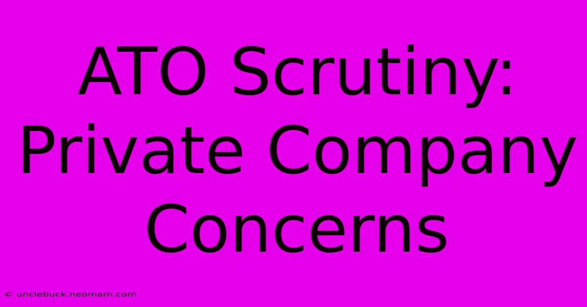 ATO Scrutiny: Private Company Concerns