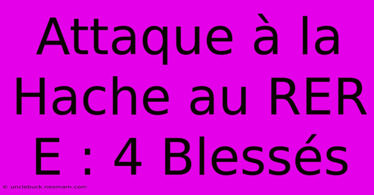 Attaque À La Hache Au RER E : 4 Blessés