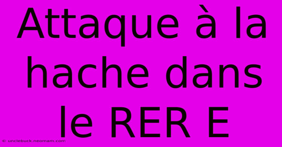 Attaque À La Hache Dans Le RER E