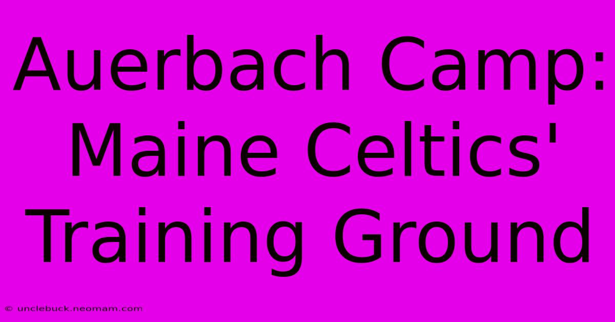 Auerbach Camp: Maine Celtics' Training Ground