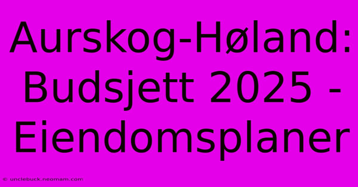 Aurskog-Høland: Budsjett 2025 - Eiendomsplaner