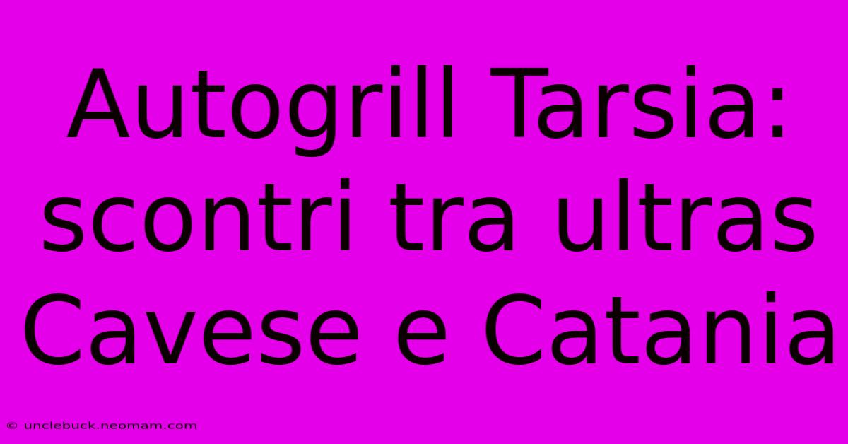 Autogrill Tarsia: Scontri Tra Ultras Cavese E Catania