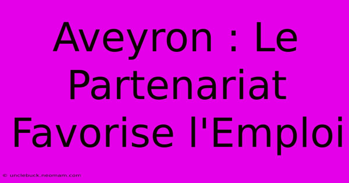 Aveyron : Le Partenariat Favorise L'Emploi