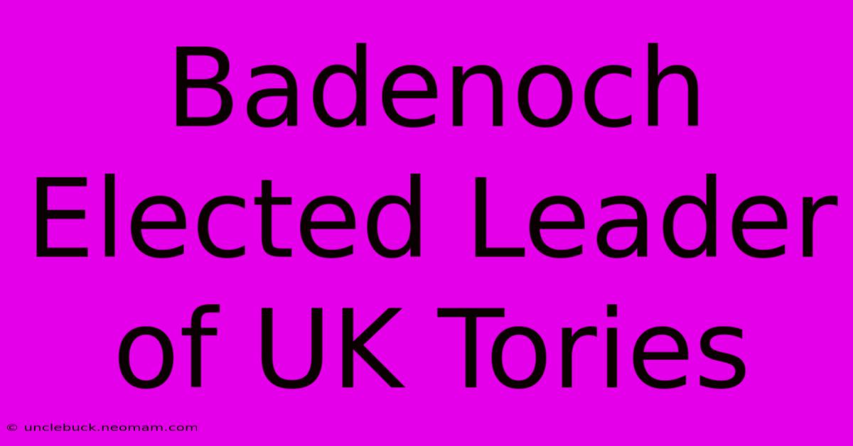 Badenoch Elected Leader Of UK Tories