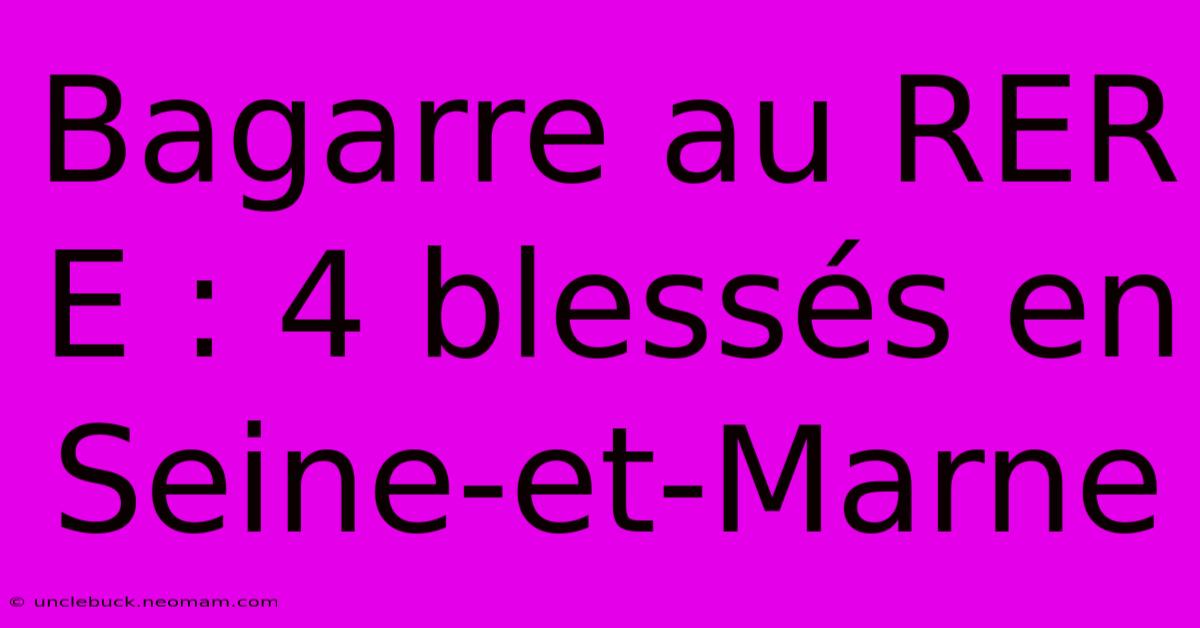 Bagarre Au RER E : 4 Blessés En Seine-et-Marne 